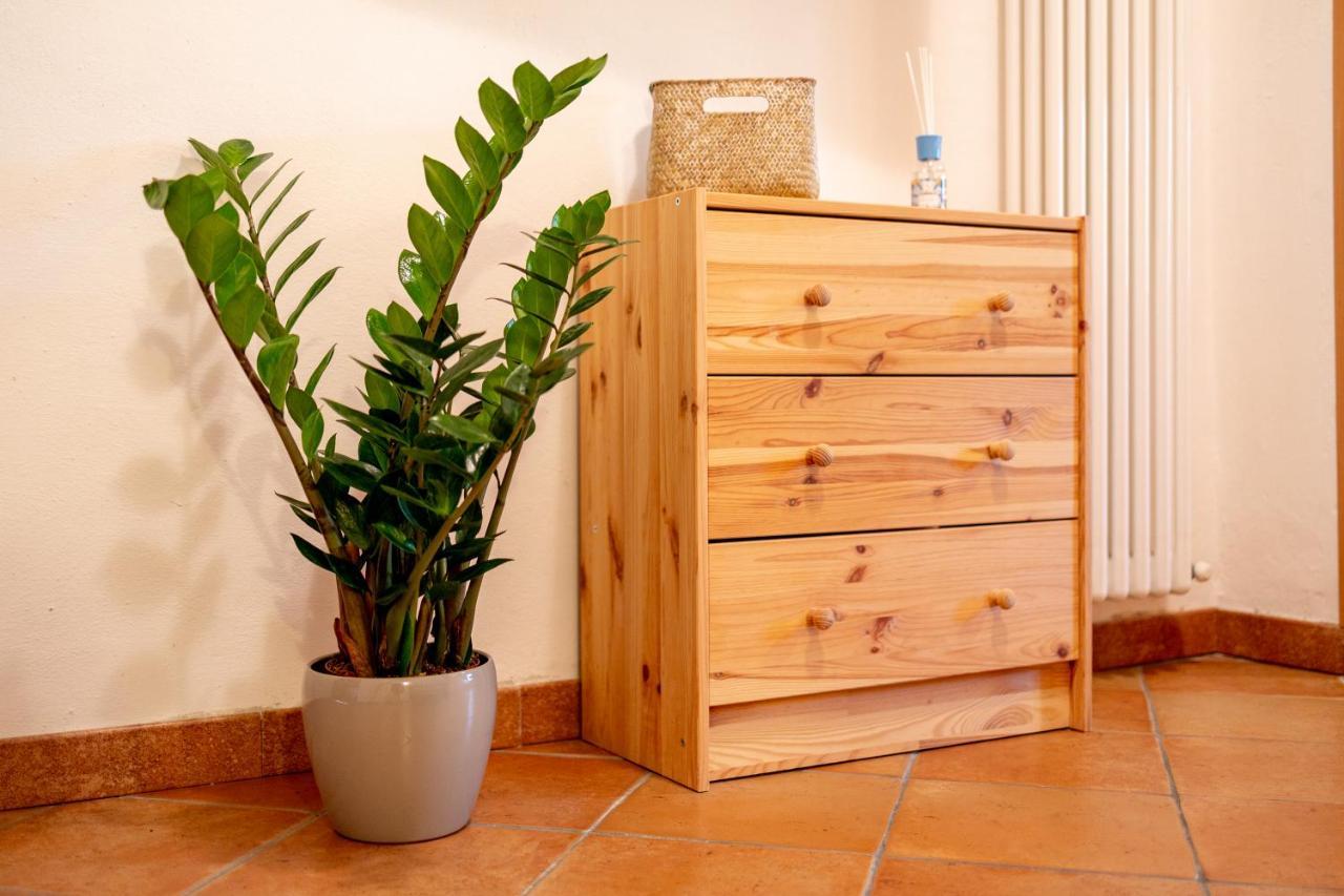 Lingueglietta 10 Minuti Dal Mare⋆⋆⋆⋆⋆ Borgo Storico Ligure 아파트 외부 사진